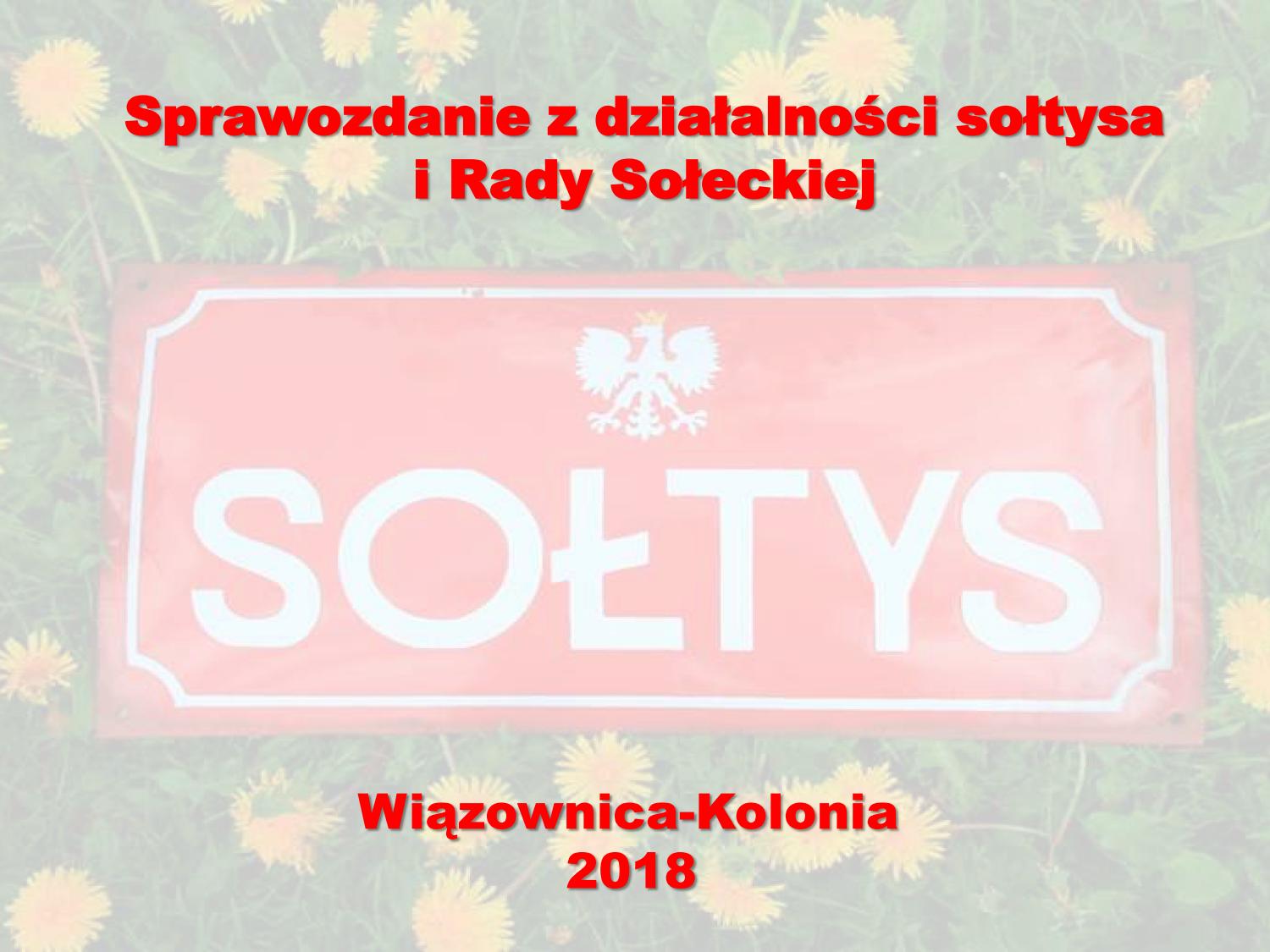 sprawozdanie-z-dzialalnosci-soltysa-za-2018_01